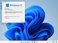 Thumbnail for Windows 11-2021-06-16-02-36-00.png